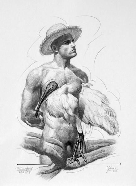 440x600 metamorphosis hermes drawing - Hermes Drawing