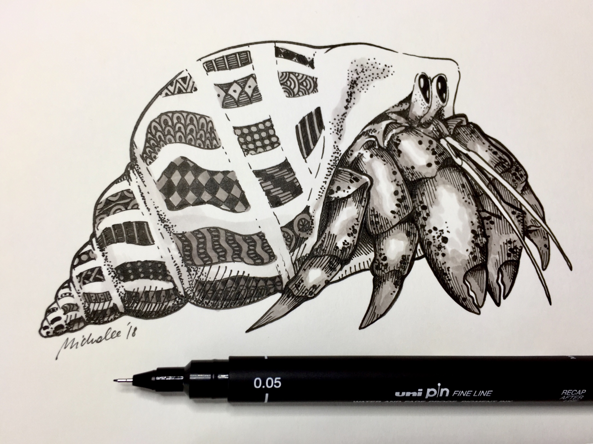 Hermit Crab Drawing at PaintingValley.com | Explore collection of ...