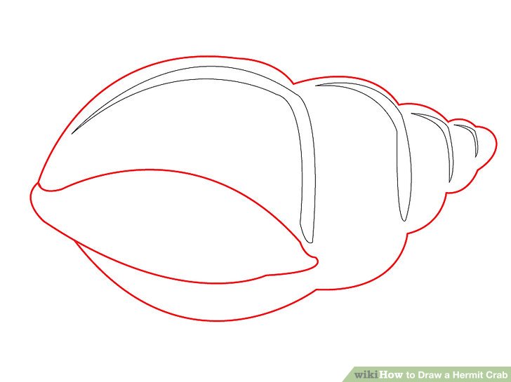 728x545 How To Draw A Hermit Crab Steps - Hermit Crab Drawing