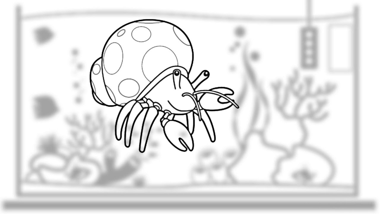 1280x720 Hermit Crab - Hermit Crab Drawing