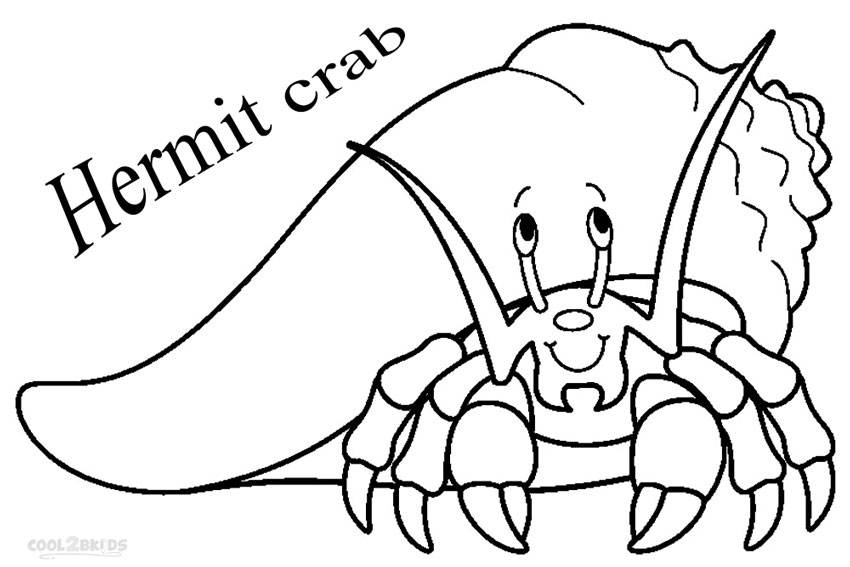 850x567 Hermit Crab Drawing Drawing Skill - Hermit Crab Drawing