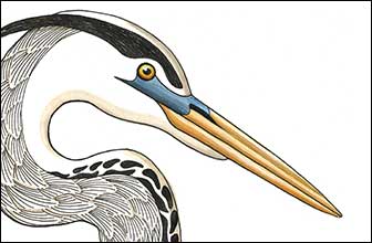 336x220 Kim Russell Original Drawings Ink And Acrylic Drawings Bird - Heron Drawing