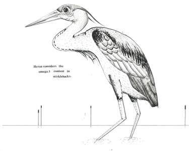 375x300 Heron Drawing - Heron Drawing
