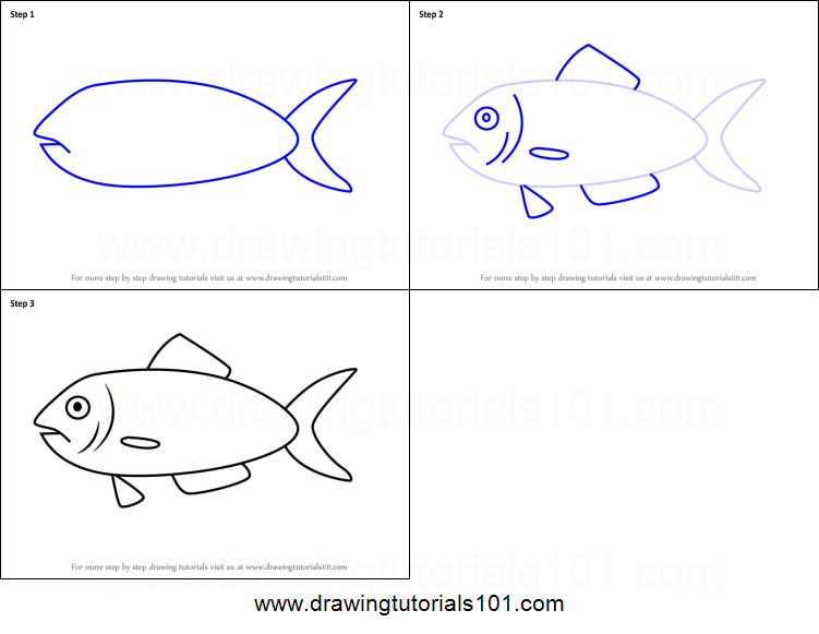 751x581 how to draw a herring fish for kids printable step - Herring Drawing