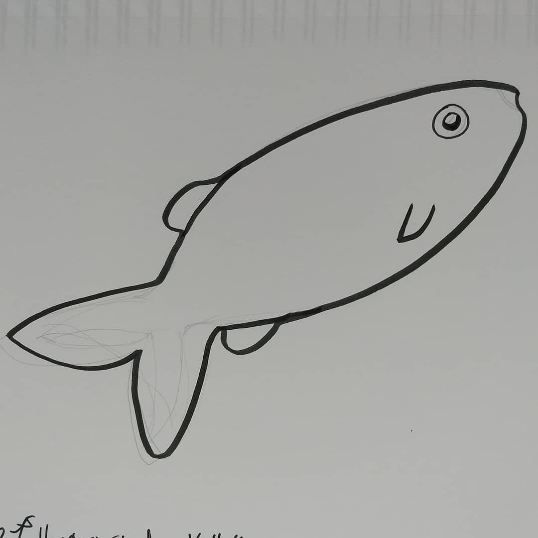 1080x1080 jasmocolors on twitter day herring - Herring Drawing