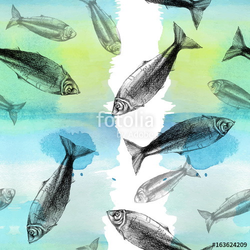 500x500 watercolor, pencil, herring, fish, seamless background, art object - Herring Drawing