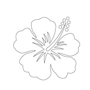 Hibiscus Flower Outline Drawing | Best Flower Site
