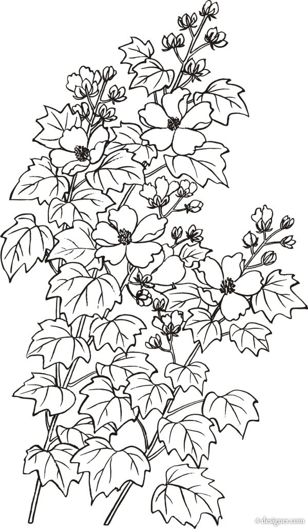 600x1028 designer vector line drawing hibiscus flower - Hibiscus Flower Drawing