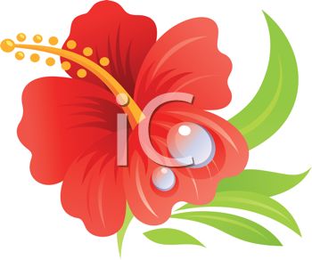 350x292 Royalty Free Clipart Image Realistic Hibiscus Flower Drawing - Hibiscus Flower Drawing