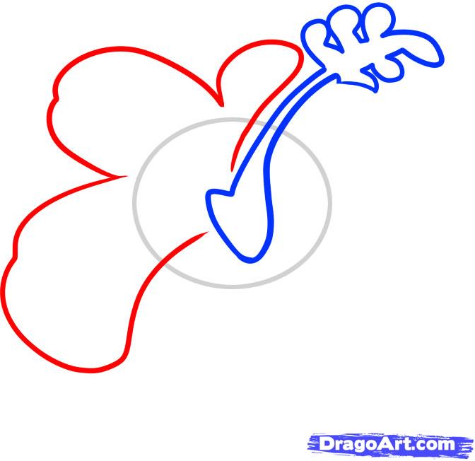 672x652 How To Draw A Hawaiian Flower, Step - Hibiscus Flower Drawing Step By Step