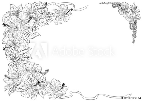 500x354 Flower Frame With Hibiscus Flowers Line Art Isolated On White - Hibiscus Flower Line Drawing