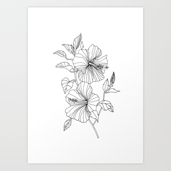 700x700 Hibiscus Flower Drawing Art Print - Hibiscus Flower Line Drawing