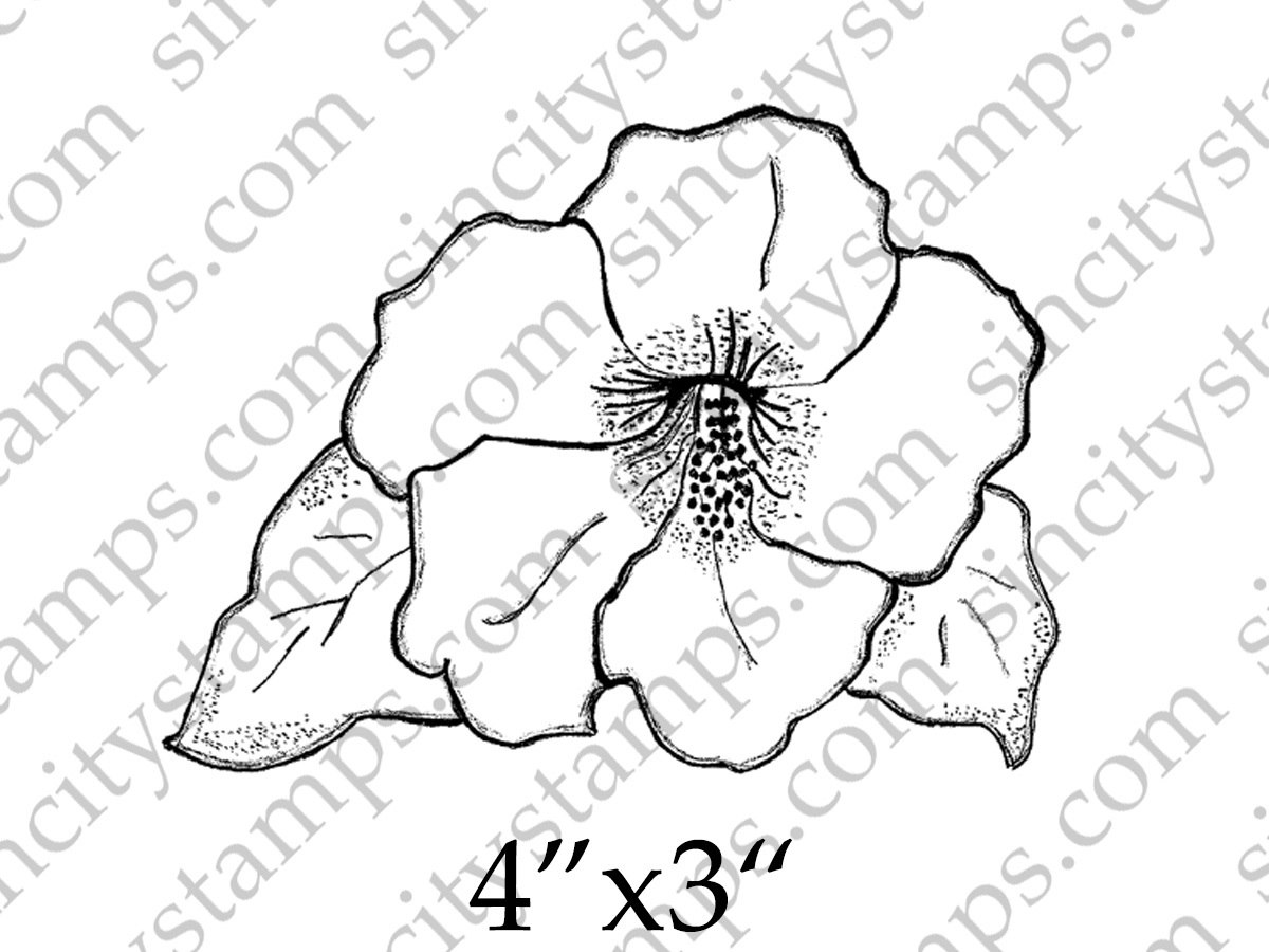 1200x900 Hibiscus Line Drawing Flower Art Rubber Stamp - Hibiscus Flower Line Drawing