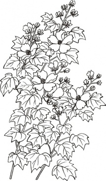 215x368 Hibiscus Flower Drawing Free Vector Download - Hibiscus Flower Line Drawing