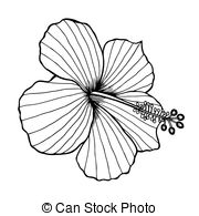 180x195 hibiscus flower line vector this is a line drawing vector - Hibiscus Flower Line Drawing