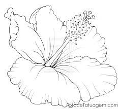 234x215 Flower Drawings For Tattoos Hibiscus Flower Tattoo - Hibiscus Flower Line Drawing