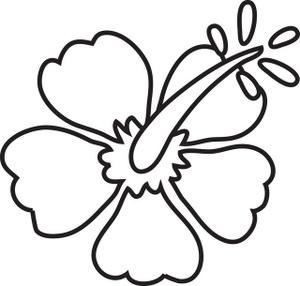 300x286 Hibiscus Clipart Line Drawing - Hibiscus Line Drawing