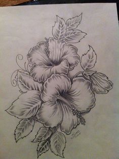 235x315 best hibiscus drawing images in hibiscus drawing - Hibiscus Pencil Drawing