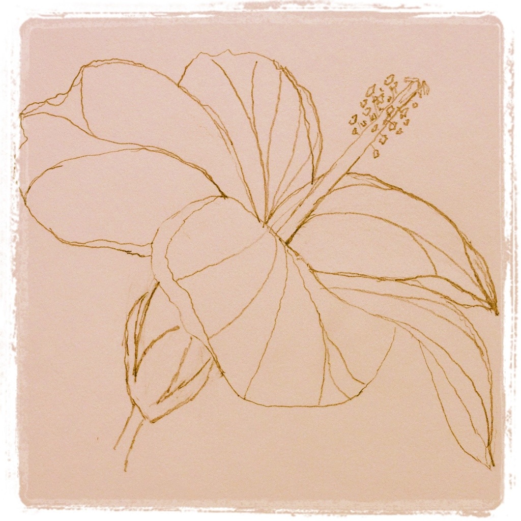 1024x1024 Hibiscus Open Pencil Sketch - Hibiscus Pencil Drawing