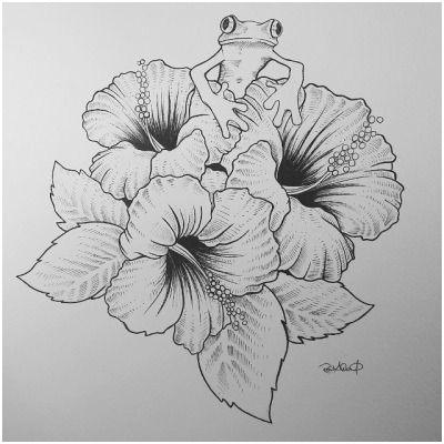 400x400 flower pencil drawing tutorial wonderfully s hibiscus label sketch - Hibiscus Pencil Drawing