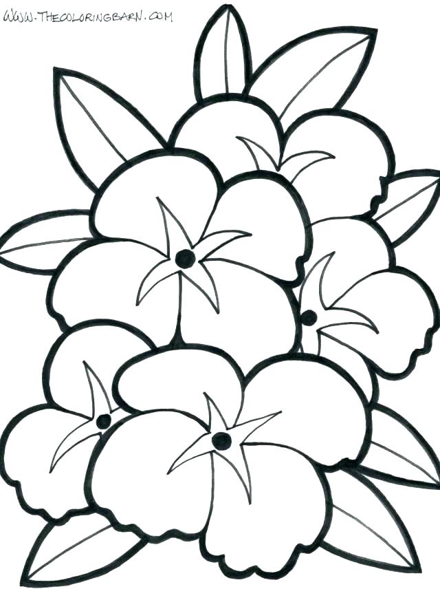 640x856 Coloring Pages Plant Coloring Pages Free Flowers - Hibiscus Plant Drawing