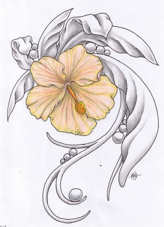 Hibiscus Flower Pencil Drawing At Explore Collection Of Hibiscus Flower 1007