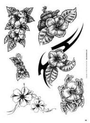 300x410 Hibiscus Flower Tattoo Drawings - Hibiscus Tattoo Drawing