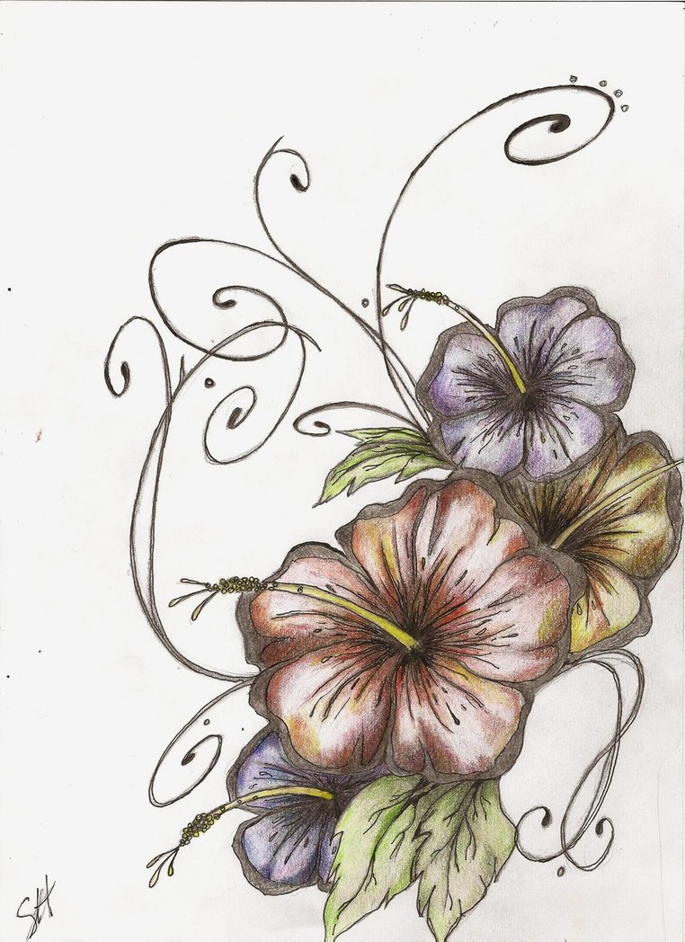 762x1048 Hibiscus Tattoo Nice Flowers Designs - Hibiscus Tattoo Drawing