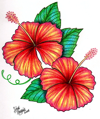 349x415 Template For Hibiscus Tattoo Tattoo Designs And Templates - Hibiscus Tattoo Drawing