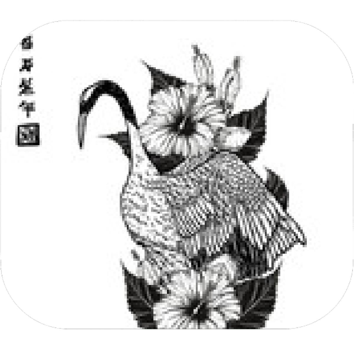 1200x1200 Designs Mein Mousepad Design Mousepad Selbst Designen - Hibiscus Tattoo Drawing