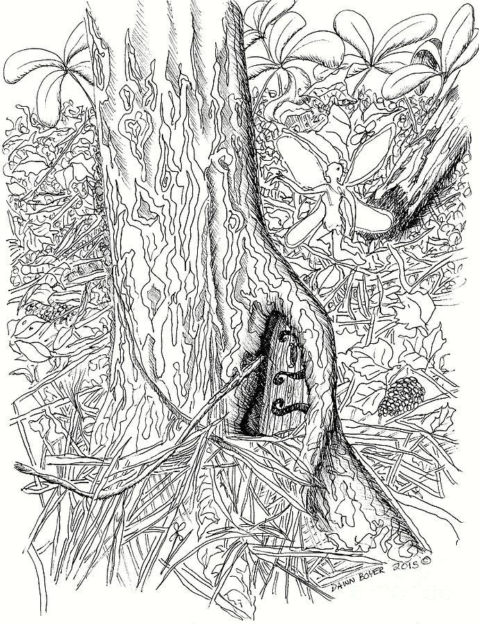 690x900 Hidden Fairy Door In Tree Root Drawing - Hidden Drawing