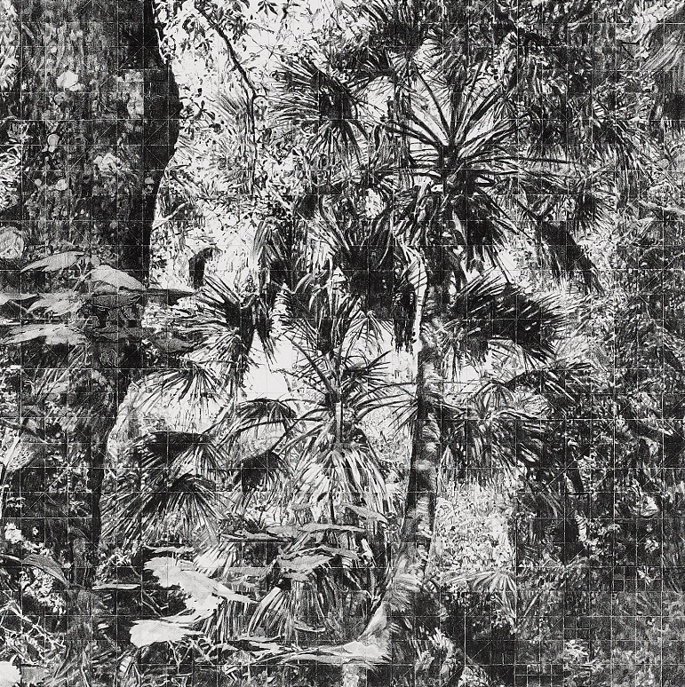 771x774 Hidden Mandala - Hidden Drawing