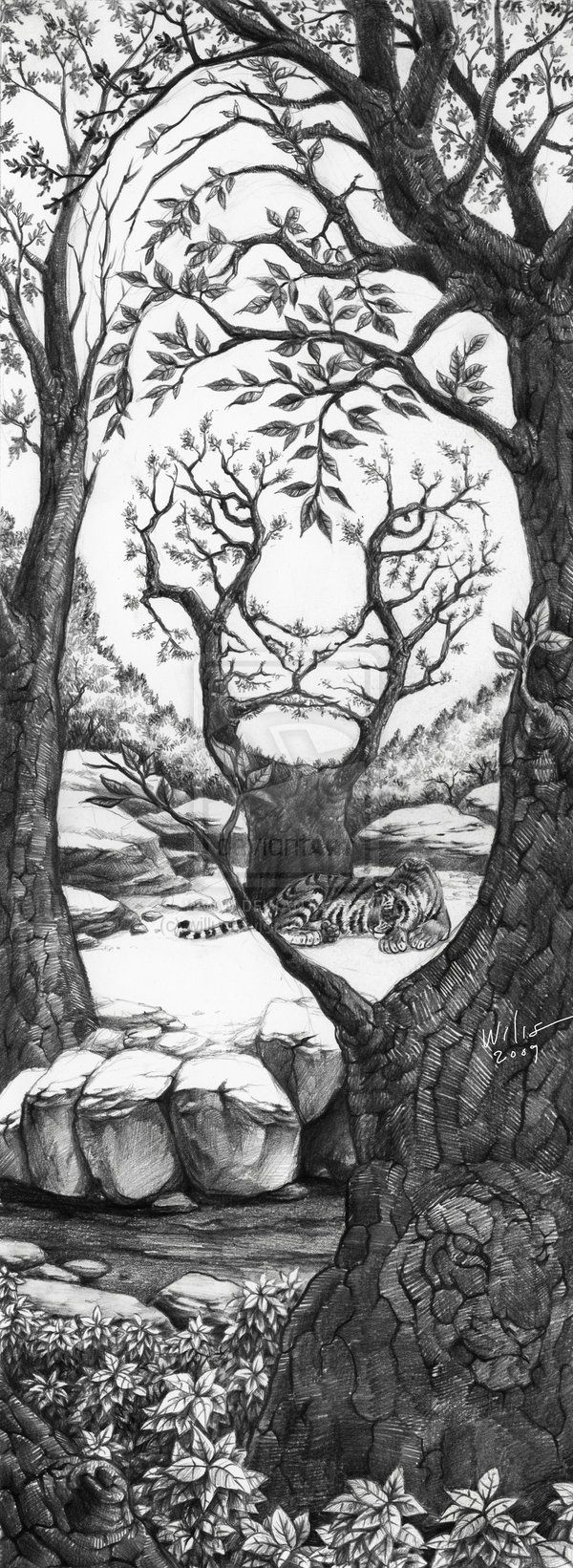 600x1641 Hidden Tiger In The Trees Drawing - Hidden Drawing