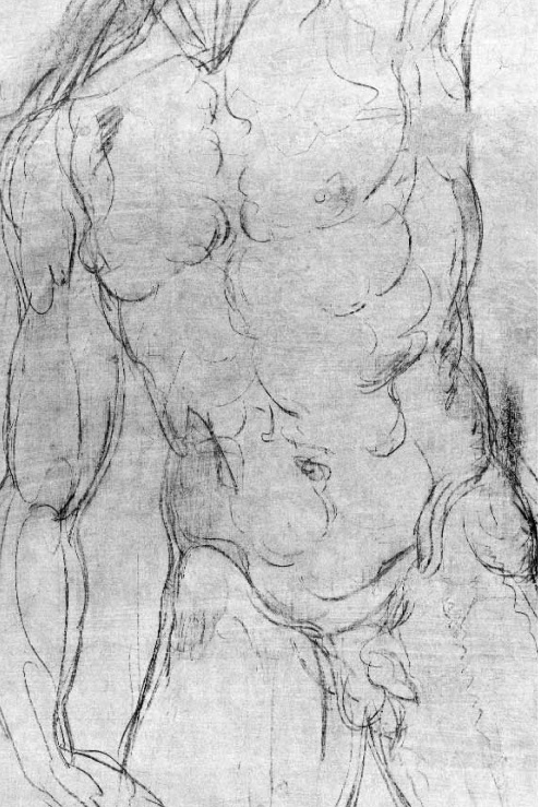 495x739 michelangelo's hidden drawings in the medici chapel beyond - Hidden Drawing