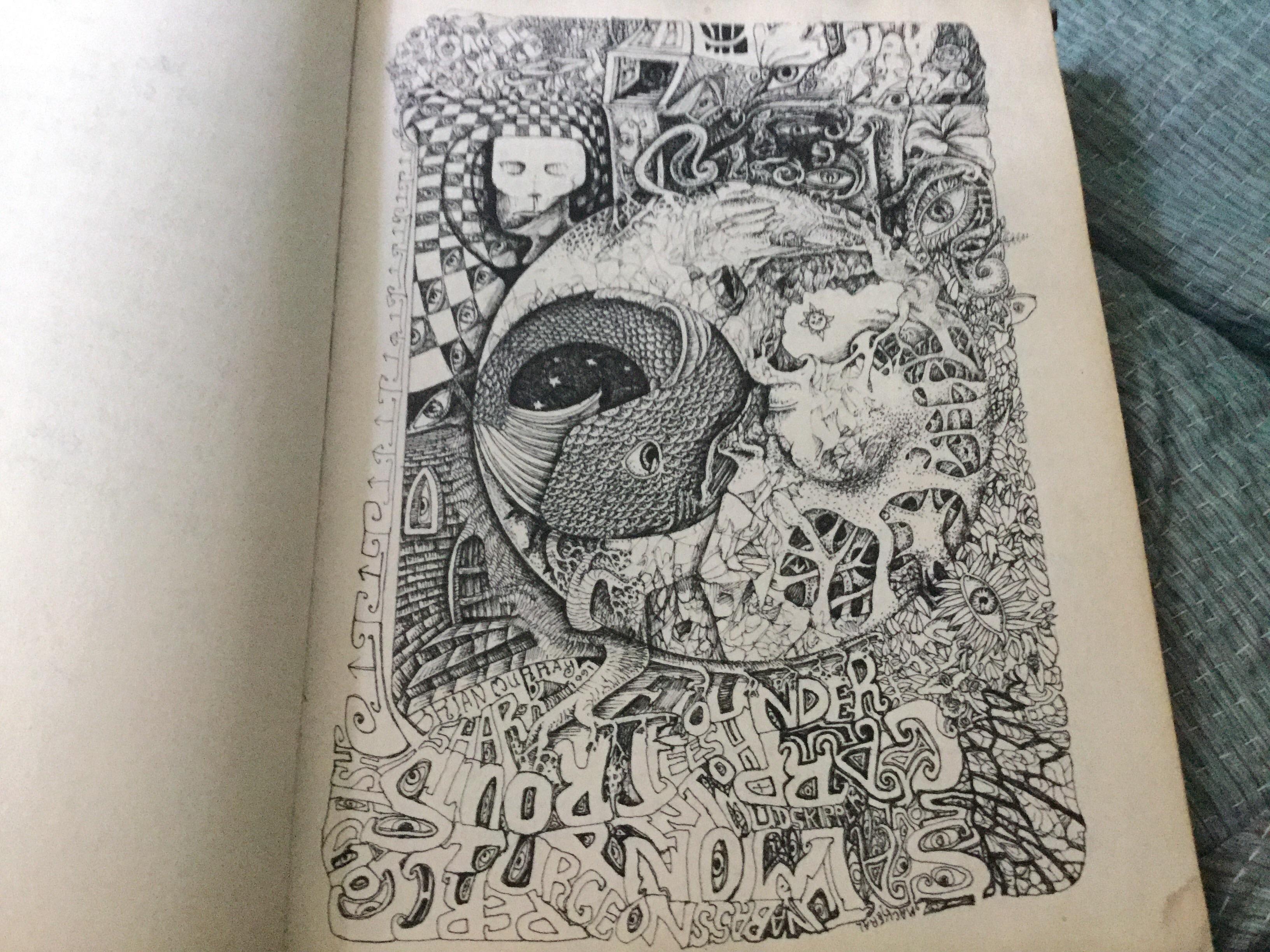 3264x2448 My Hidden Drawing Phish - Hidden Drawing