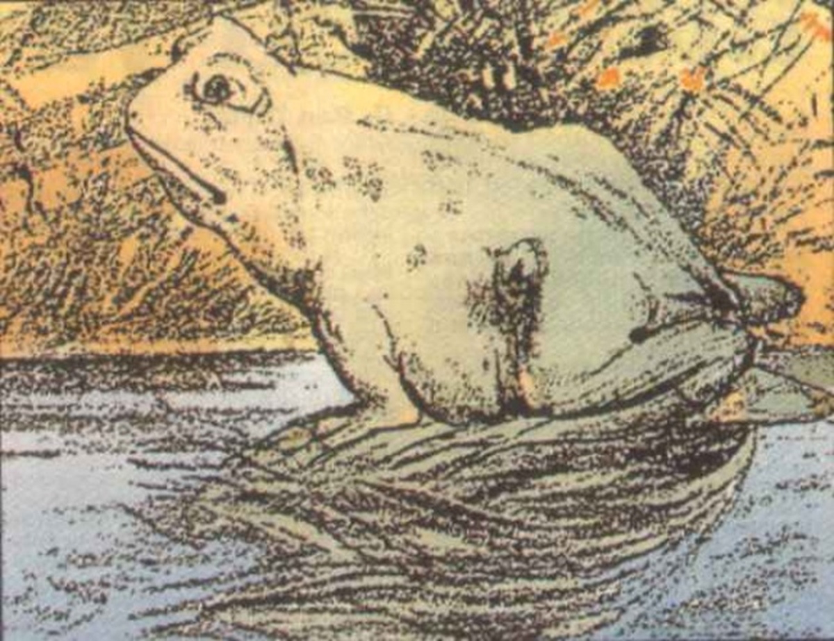 1200x923 super tricky optical illusions that are ridiculously fun to try - Hidden Drawing