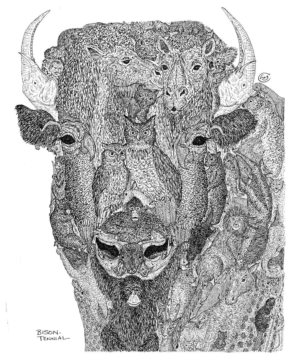 1000x1200 Hidden Animals In This X Ink Drawing - Hidden Drawing