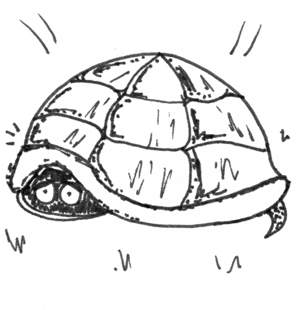 996x1024 How To Create Rising Action Using Hide N Seek - Hide Drawing