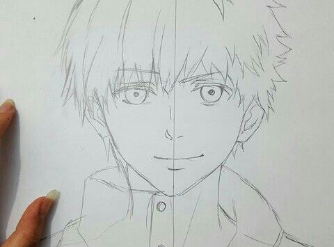 480x355 Drawing - Hide Drawing