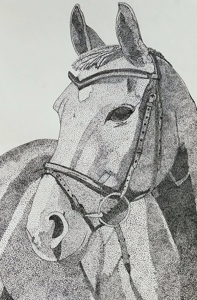 789x1200 Roger Darren High On Twitter More Pen And Ink Drawings Created - High School Drawing