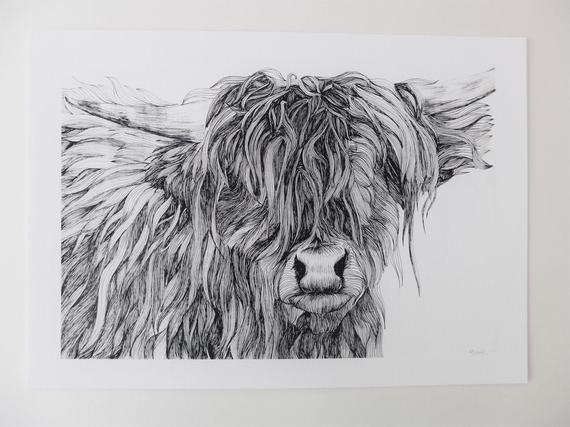 570x427 highland cow art print discounted art pen drawing scottish etsy - Highland Cow Drawing