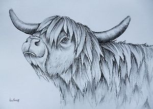 Highland Cow Drawing at PaintingValley.com | Explore collection of ...