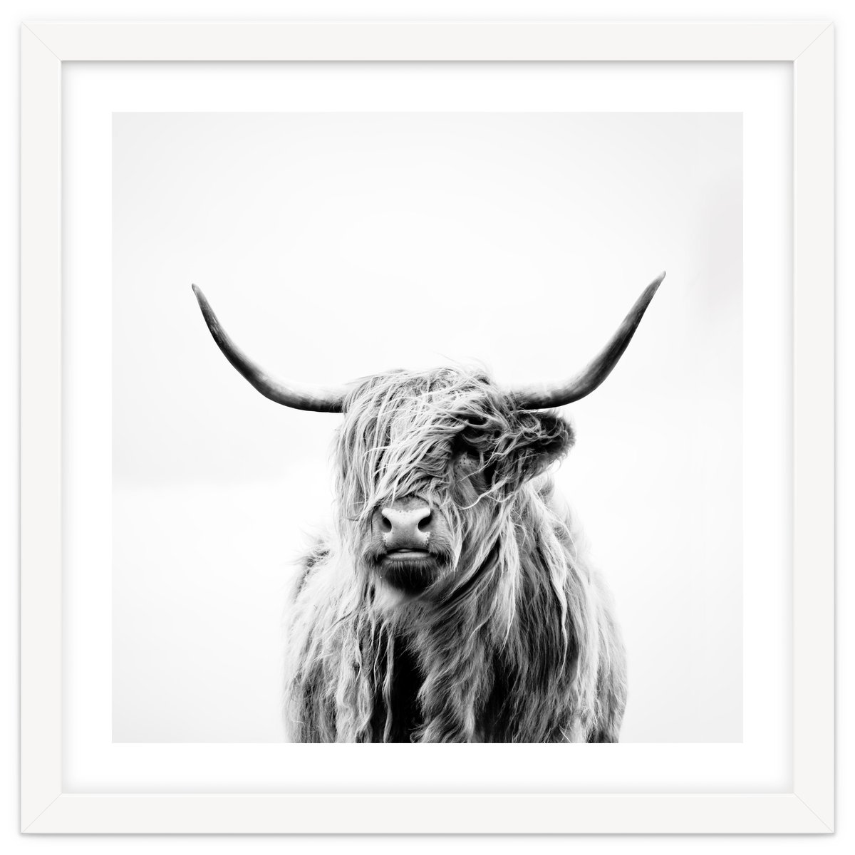 1200x1200 portrait of a highland cow - Highland Cow Drawing