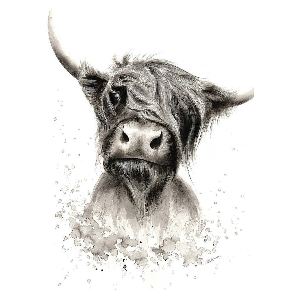 1024x1024 highland cow illustration print - Highland Cow Drawing