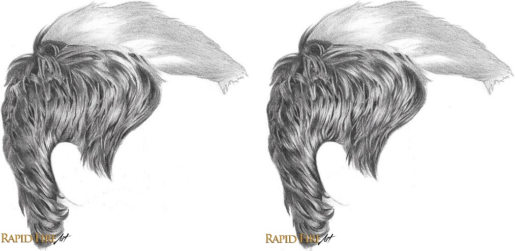 1013x494 how to draw short hair - Highlight Drawing