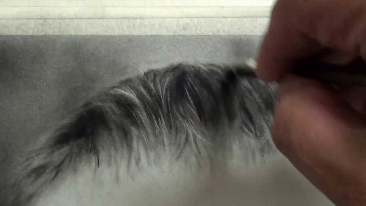 1280x720 how to highlight hair for charcoal drawing on paper - Highlight Drawing