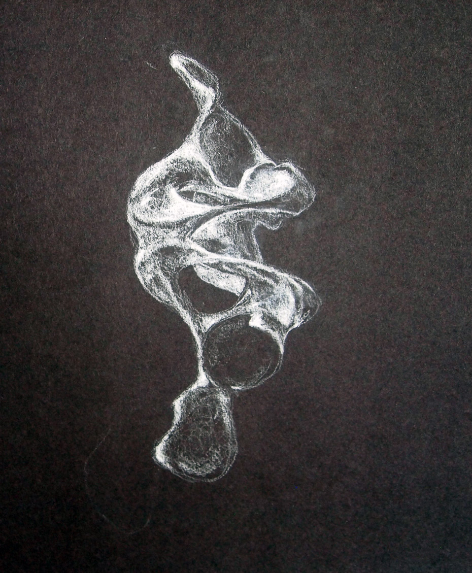 930x1129 rebecca jensen bone highlights - Highlight Drawing