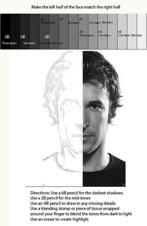 485x747 the helpful art teacher highlights, midtones and shadows grayscale - Highlight Drawing