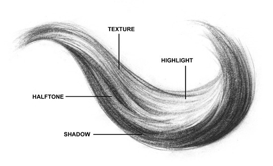 550x336 drawing art hair people person draw real natural human anatomy - Highlight Drawing