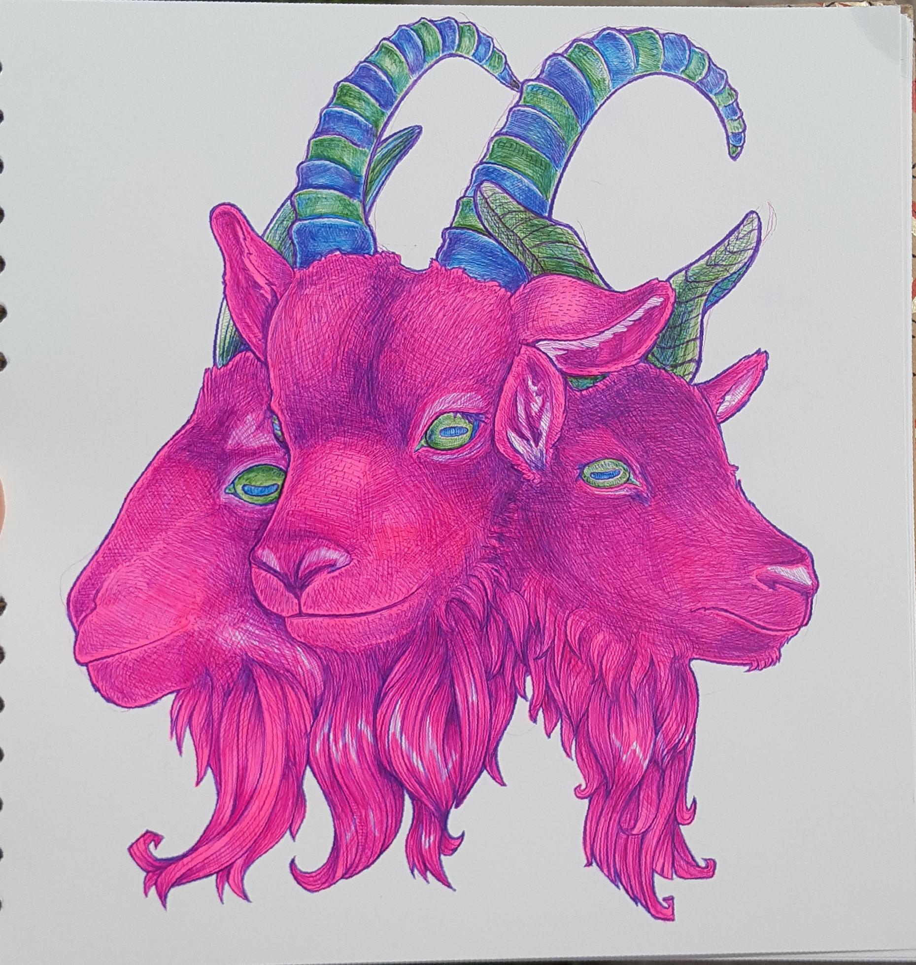1859x1957 Highlighter And Bic Pen Goat Drawing I Made To Use Up Supplies - Highlighter Drawings